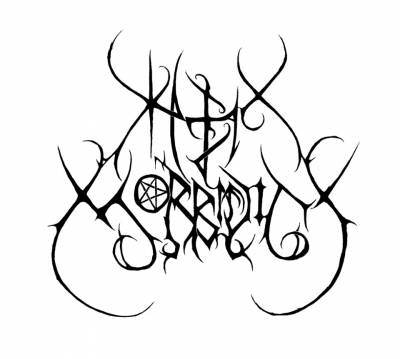 logo Hex Morbidity
